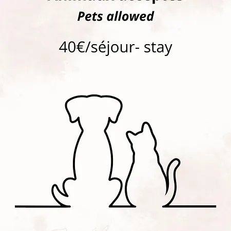 Le Jardin Secret D'amiens Hypercentre Cathedrale, Parking أميا