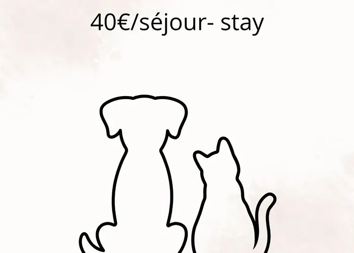 Le Jardin Secret D'amiens Hypercentre Cathedrale, Parking Amiens